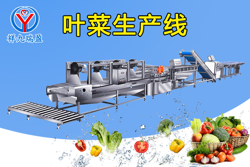 叶菜生产线