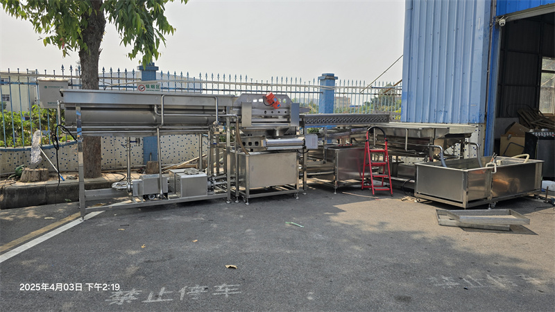 酱油加工厂定制，腌蒜米清洗流水线设计原理大剖析